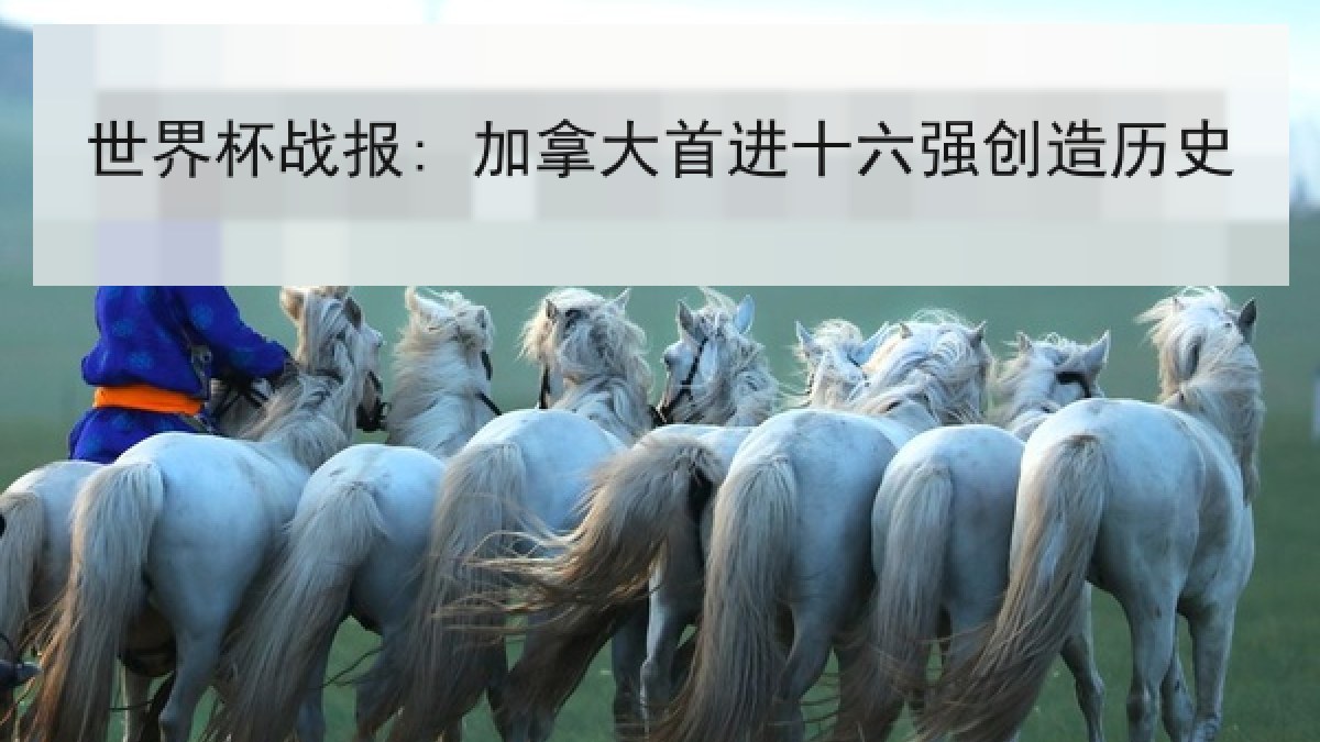 世界杯战报: 加拿大首进十六强创造历史