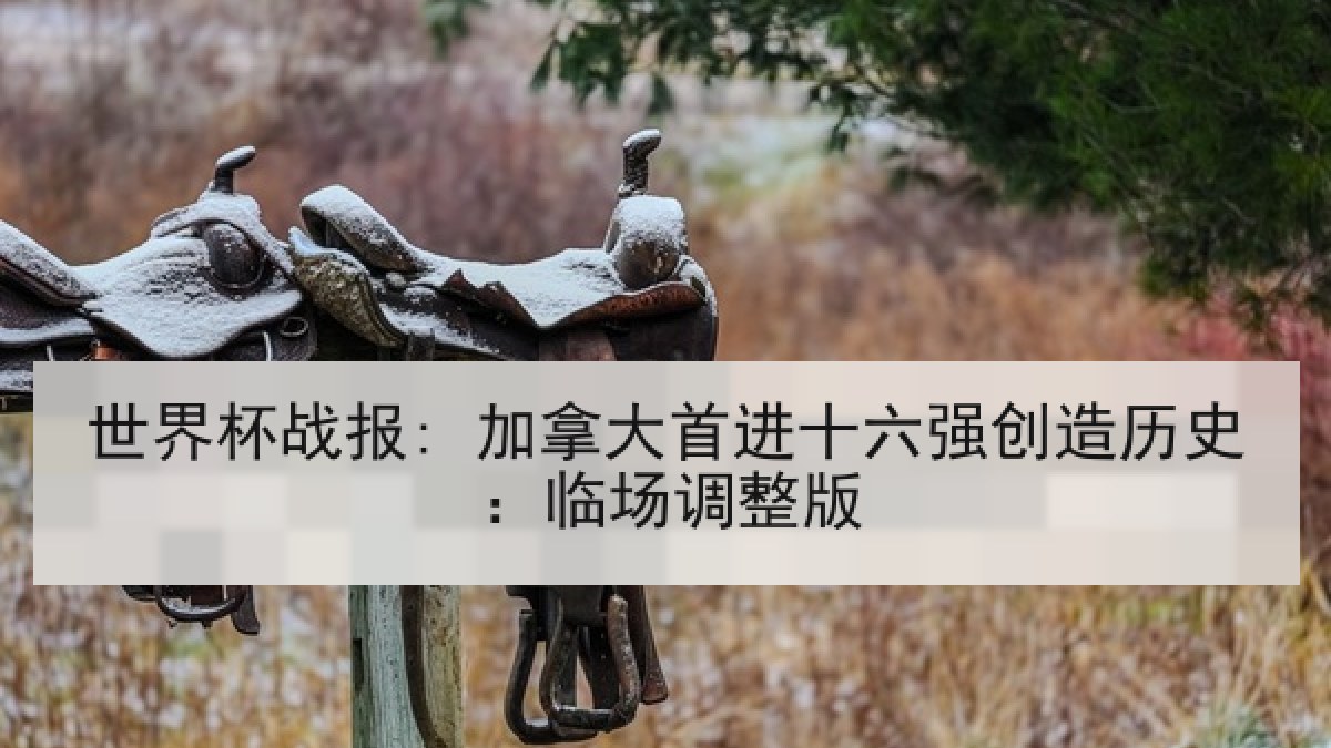 世界杯战报: 加拿大首进十六强创造历史：临场调整版