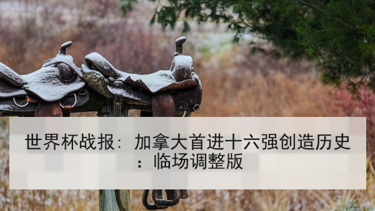 世界杯战报: 加拿大首进十六强创造历史：临场调整版