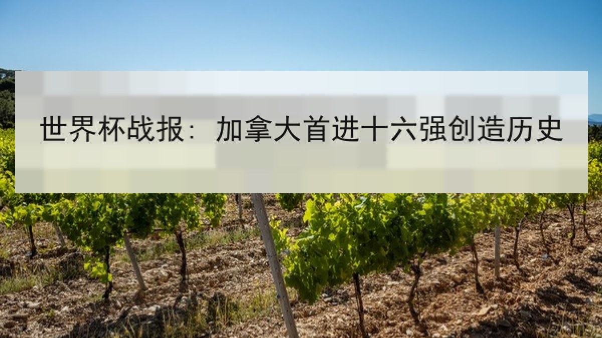 世界杯战报: 加拿大首进十六强创造历史