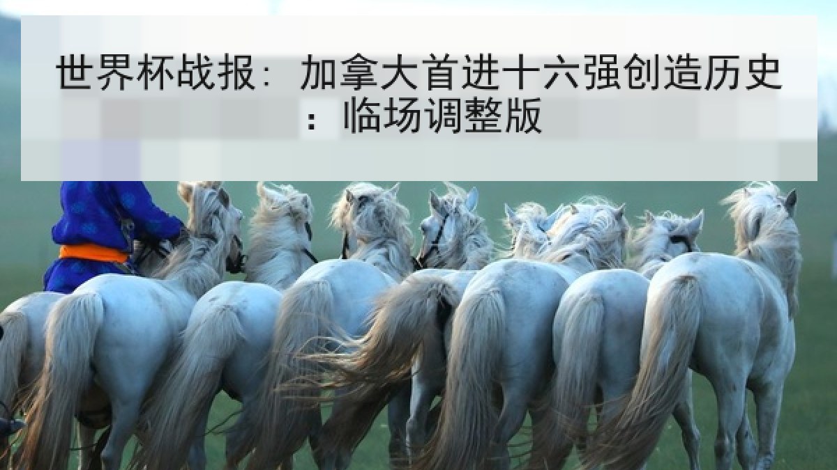 世界杯战报: 加拿大首进十六强创造历史：临场调整版