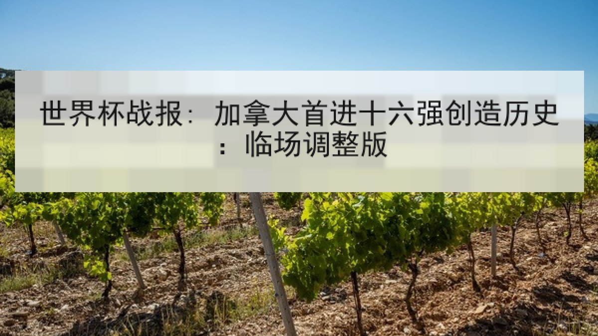 世界杯战报: 加拿大首进十六强创造历史：临场调整版