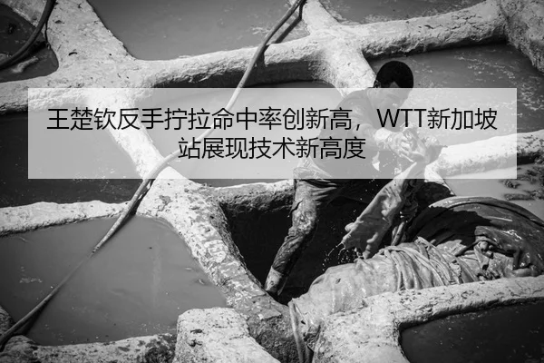 王楚钦反手拧拉命中率创新高，WTT新加坡站展现技术新高度