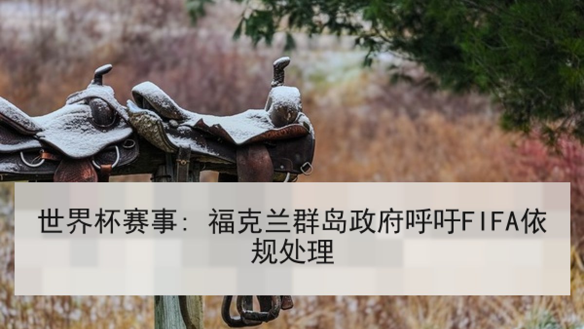 世界杯赛事: 福克兰群岛政府呼吁FIFA依规处理